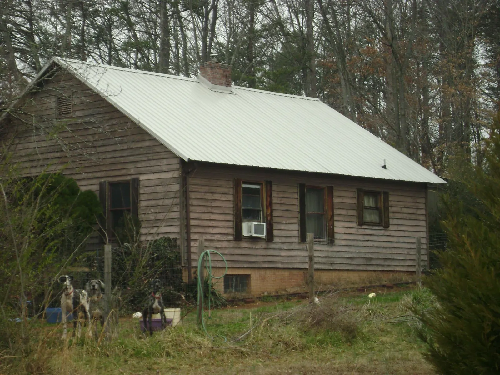 White metal roof on an old wood sided farmhouse, from a Asphalt Shingle Roof Repair job in Neal